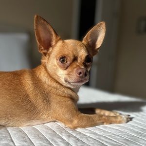 Meet your Posher, Laura